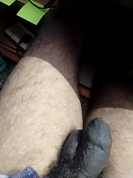 Tamilandteluguboy14 webcam