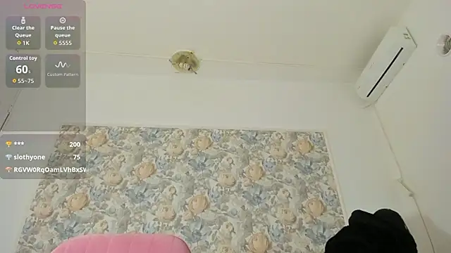 illegal_lorry webcam