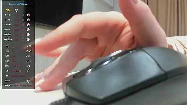 Little_Brittany webcam