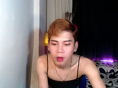 MissTransStella69 webcam