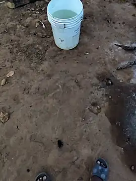 desi_alpha_boy webcam