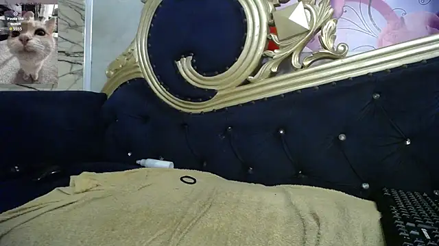 carolina_canndy webcam