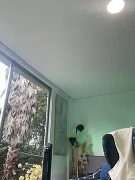 DimitriSullivan_ webcam