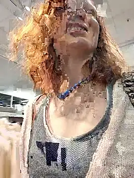 Exhibitionsplit webcam