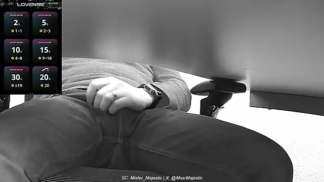Mister_Majestic webcam