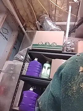 biknight (M mature) - To have sex live for you