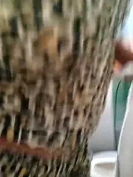 Webcam Model (IIv0ryN0IIReX-XX)  is live.Free join now!