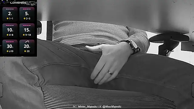 Mister_Majestic webcam