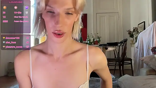 AliceSnowCatt webcam