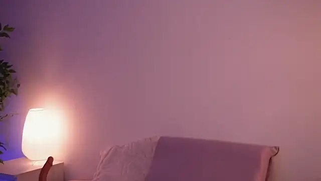 STANOVAYA300KG webcam