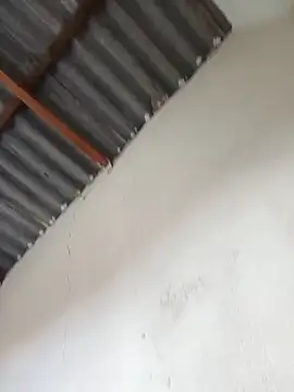 FiscalMiscount webcam