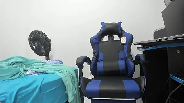 isearchcompany webcam