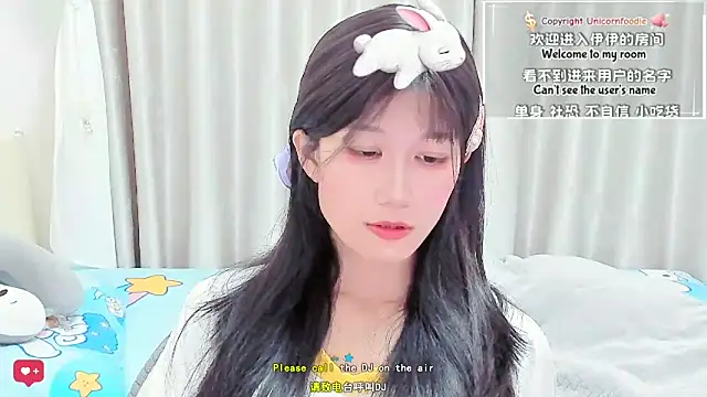 Unicornfoodie webcam