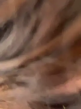 Nahomy_Benett webcam