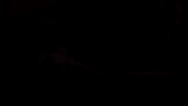 leccaleccafiga webcam