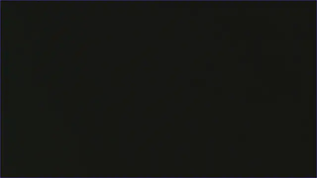 Geisha_Seniers webcam