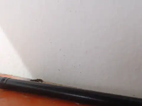 alexam_gal@xh webcam