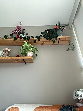 SugarTroubl33 webcam