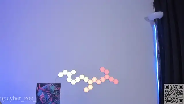 cyberzoe webcam