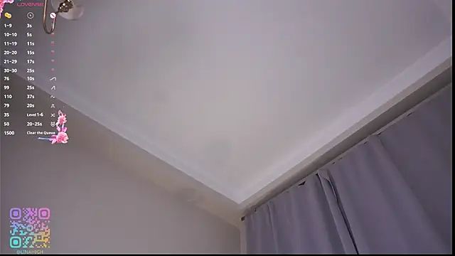 LinnHigh webcam