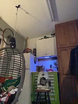 polaroid_white (M young) - GET NAKED & OIL RUB DOWN