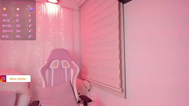 Alice_winter_ webcam