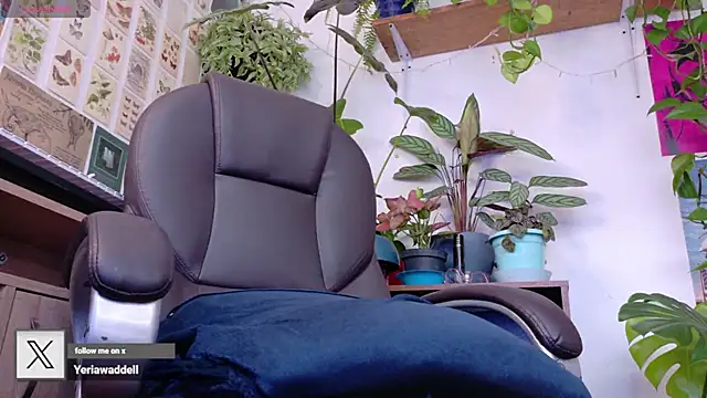 Yeriawaddell_ webcam