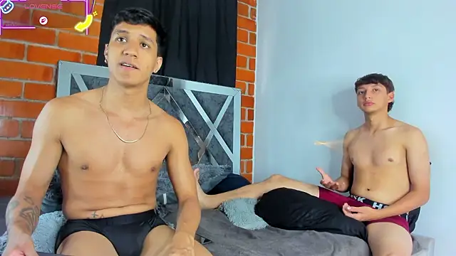 MaelSebasAndRobert1 webcam