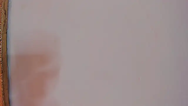 Violettaevans_ webcam