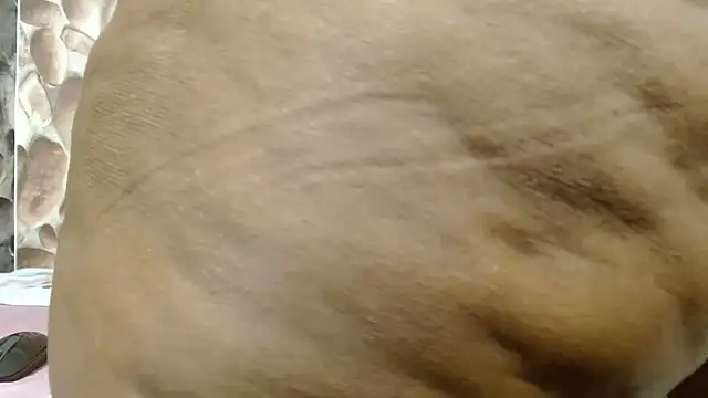 Bigboobsbooty webcam