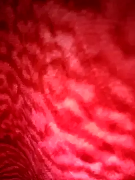 pagelboy_089 - Pagelboy_089's free webcam - UK Sex Cams