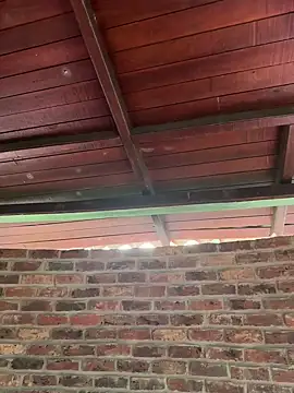 Couple_latinX webcam