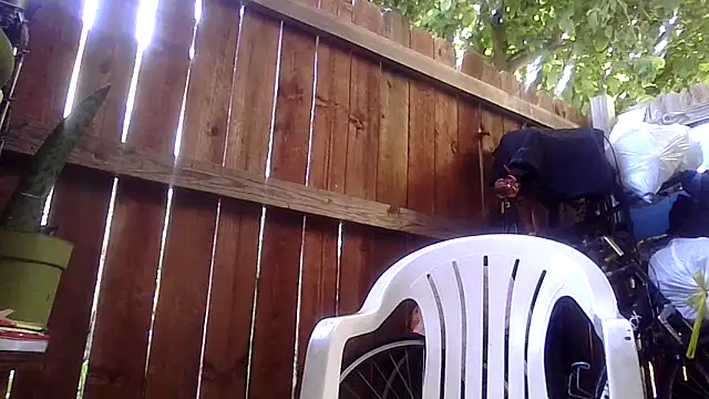 MrDickUdown24_7 webcam