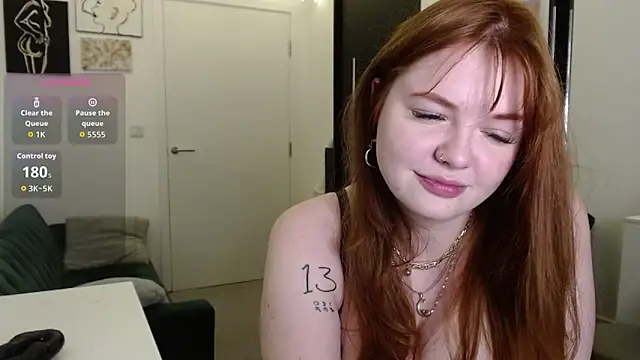 STOP_it_is_me_you_want webcam