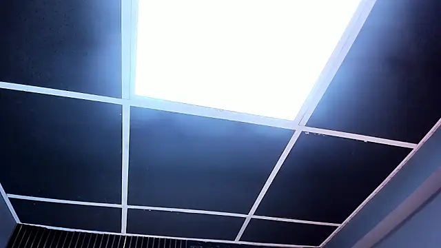 Siena_morales webcam