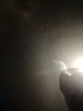 Capthookfugood webcam