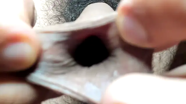 Chriss_evanss_ webcam