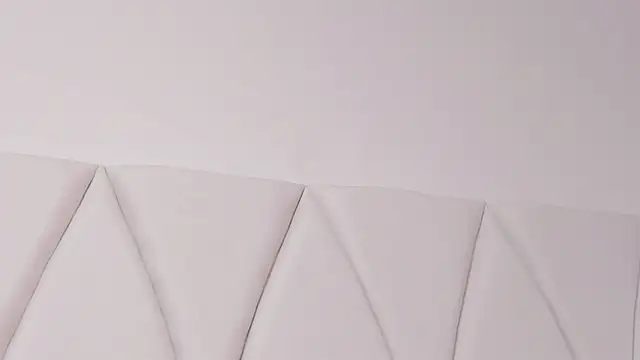 JACKSON_STIFLER webcam