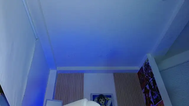 kittyhouse_hs webcam