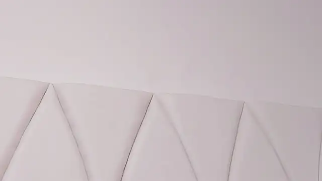 JACKSON_STIFLER webcam