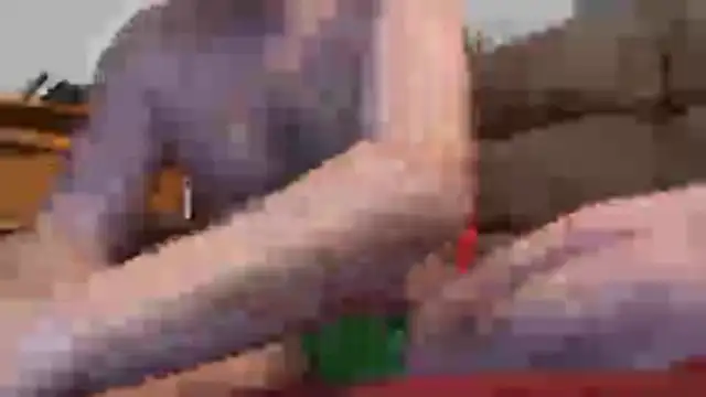 greyd333 (Ask my age) - cumming goal