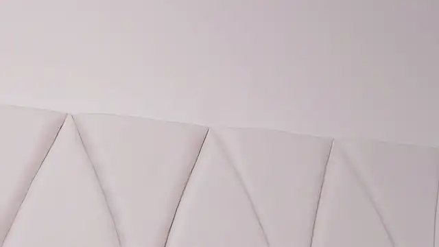 JACKSON_STIFLER webcam