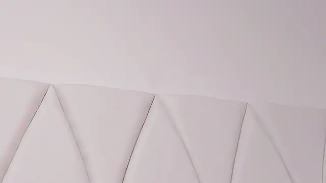 JACKSON_STIFLER webcam