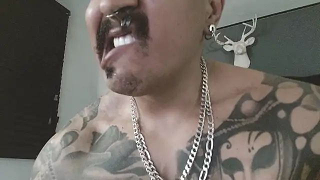 danilog515 Live Webcam on Stripchat