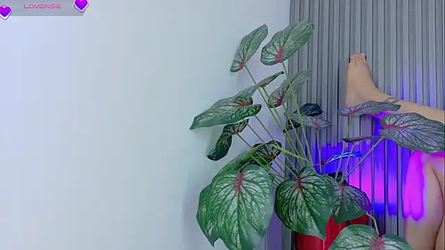 Celeste_Presstigge webcam