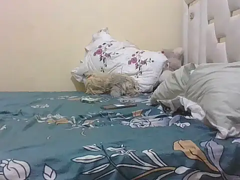 nasty-linda - Nasty-Linda's free webcam - UK Sex Cams