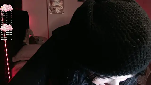 Theprojectsaraa webcam