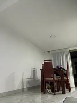 Salome_golvert webcam