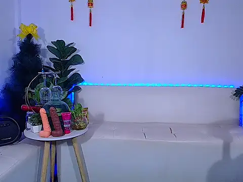 plysaithailand webcam