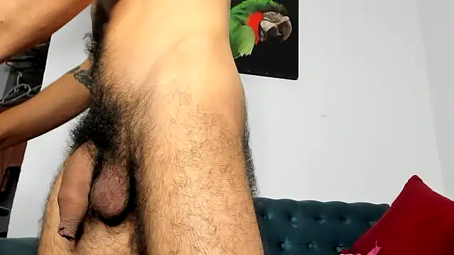 Chriss_evanss_ webcam